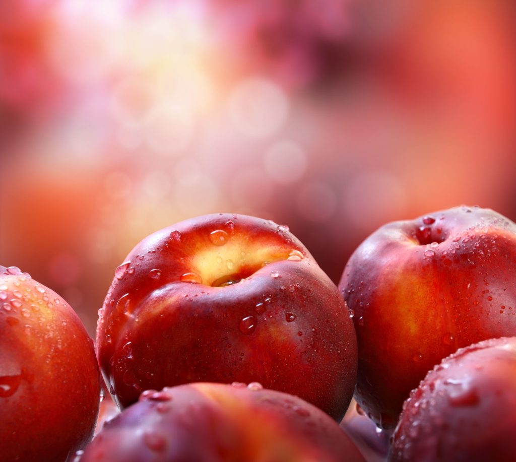 11984794 – nectarines in garden.